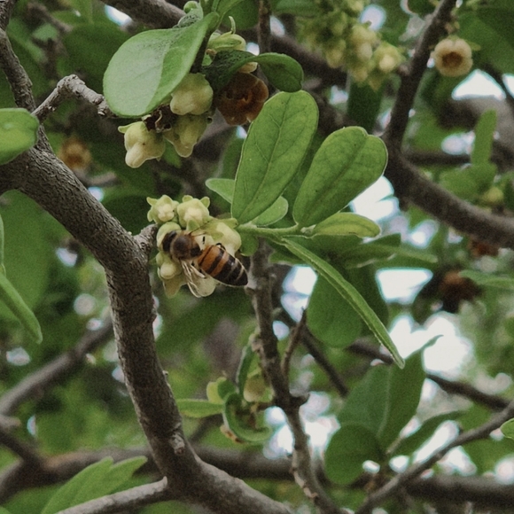 Welcome To My Closet π - Picture 1 of 5